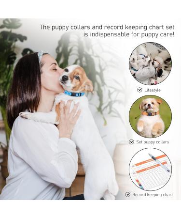 Gamuda Adjustable Soft Nylon Dog Collar for Puppies - Monochrome Gelpin Neck Strap with 2 Recording Tables - 12 Set (M) Medium | International Shipping - Buy Online on GoSupps.com