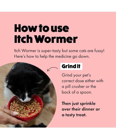 Cat Worming Tablets for 1kg+ Cats | 2 Tablets | Treats Roundworms & Tapeworms | Kills Worm Larvae - Buy Online on GoSupps.com