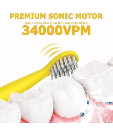 Buy Rechargeable Musical Electric Toothbrush for Kids 3-12 - Intelligent Timer 3 Modes 4 Brush Heads & Holder - Fun Caricature Design! - Buy Online on GoSupps.com