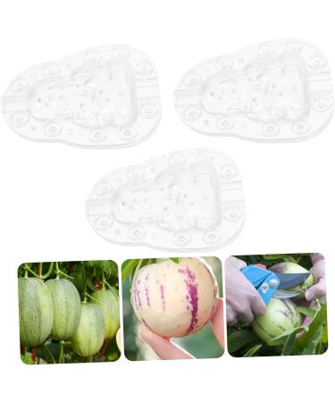 KONTONTY 3pcs Vegetable Small Mould Growth Forming Ginseng Small Fruit Plastic Gourd - Buy Online on GoSupps.com