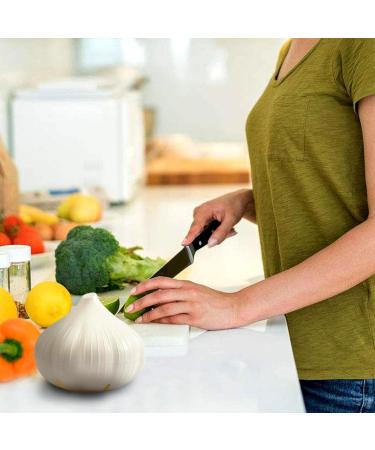 Shakven Toilet Automatic Cleaner Long-Lasting Toilet Cleaning Product - Stain Remover Toilet Cleaning Gel Automatic Toilet Cleaner Toilet Bowl Cleaners Deodorizing & Descaling - Buy Online on GoSupps.com