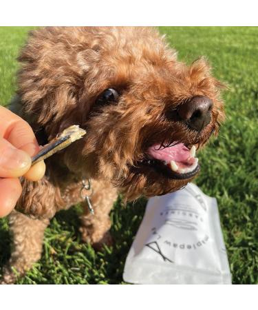 maplepaw Treats Dried Sardines for Dogs and Cats 100% RAW Training Treats with Omega 3 and Calcium for Brain Heart Skin and Coat Health - Buy Online on GoSupps.com