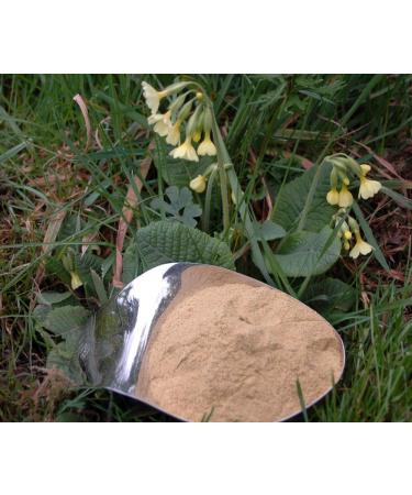 Naturix24 Naturix24 Ground Key Flower Powder 100g Bag