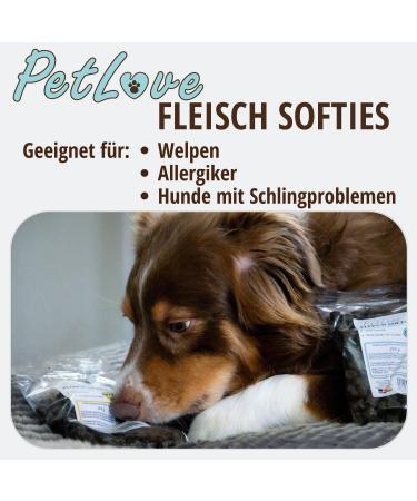 Petlove Meat Softies for Dogs - Grain-Free 63% Salmon Dog Treats | Ideal for Training | 200g - Buy Online on GoSupps.com