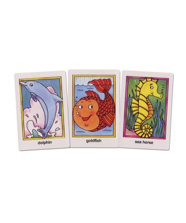 Go Fish Flash Cards - Braille