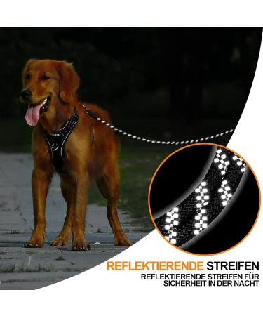 Iokheira 15m Dog Drag Line - Training Leash for All Dog Sizes with 360 Carabiner & Reflectors - Buy Online on GoSupps.com