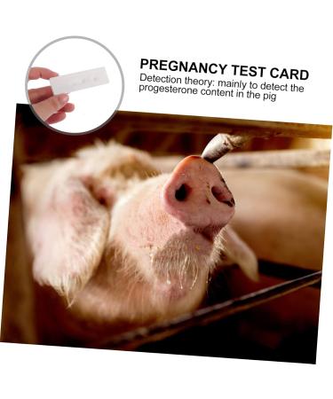 PopetPop Tool for Pregnant Cattle - 2PC Farm Supply | Veterinary Pregnancy Paper | Livestock Management | 13x6x1cm - Buy Online on GoSupps.com