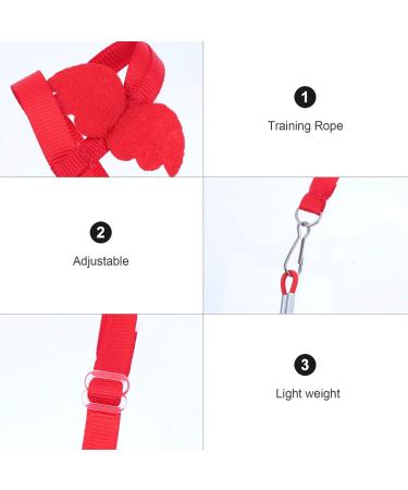 2pcs Harness Adjustable Bird Blue Leash Conure Lovely Traction Wing Training Conical with Pet for S Assorted Color - Buy Online on GoSupps.com
