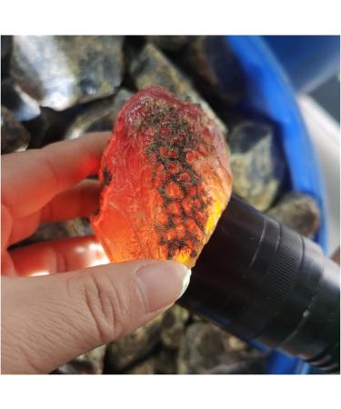 50-500g Natural Amber raw Stone Crystal Rough Rock specimens Home Decor (Size : About 100g) - Buy Online on GoSupps.com