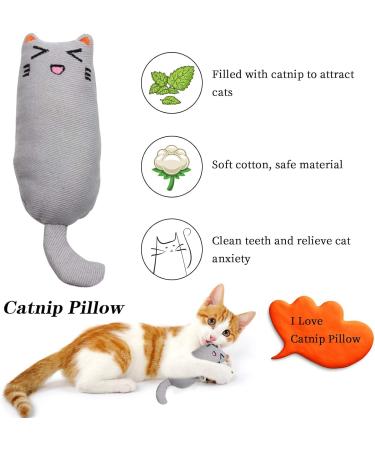 MOSNOW Cat Chase Toys 1 Pack 2 in 1 LED Pointer Cat Toys&1 Pack Cat Catnip Toys Funny Cat Toys Pet Interactive Toys for Pet Indoor Exercise Training Tool - Buy Online on GoSupps.com