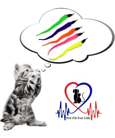 Pet Fit For Life Cat Toy - 5 Piece Worms Teaser and Exerciser for Interactive Play with Cat and Kitten - Buy Online on GoSupps.com