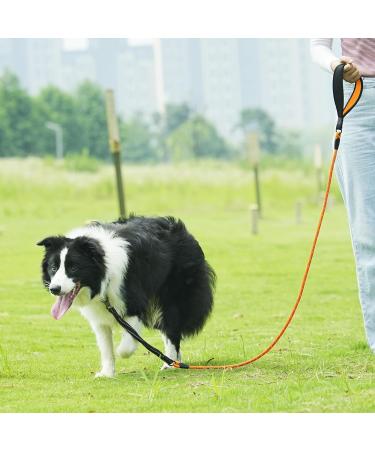 Buy Aystkniet 30m Bungee Tow Leash for Medium & Large Dogs - Shock-Absorbing Padded Handle Reflective Lockable Hooks - Perfect for International Shipping - Buy Online on GoSupps.com