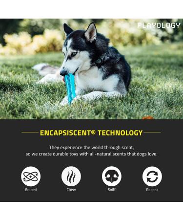 Playology Dental Stick - Natural Fragrance & Peanut Butter - Size L (15.9 kg+) - Best for Large Dogs - International Shipping Available - Buy Online on GoSupps.com