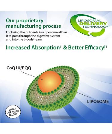 Aurora Nutrascience Mega-Liposomal CoQ10+ | 300 mg Organic Fruit Flavor | 16 fl oz - Buy Online on GoSupps.com