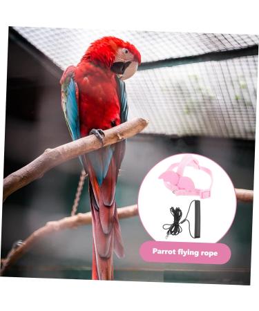 Beavorty 3 Sets Bird Leash Suspend Bird Harness Leashes -bite Training Bird Training Supplies Strap Outdoor 12X6X1.3CMx3pcs Pinkx3pcs - Buy Online on GoSupps.com