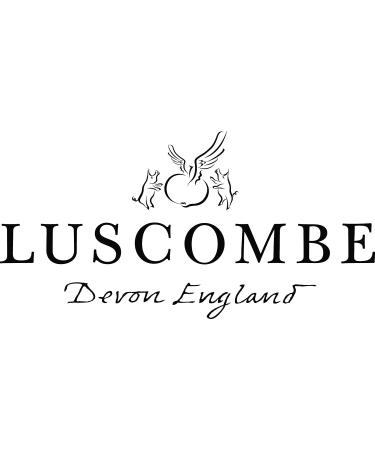 Luscombe Drinks Organic St Clements Oranges grown in the volcanic soils of Etna combined with Sicilian lemons rich rounded depth of flavours 270ml Pack of 24 - Buy Online on GoSupps.com