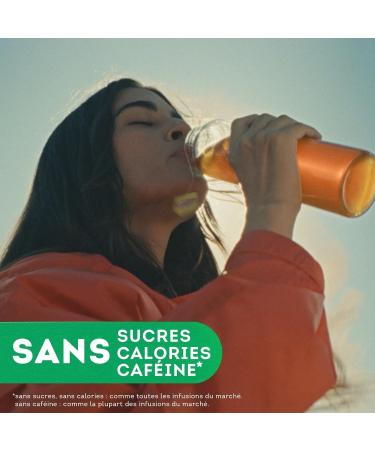 Lipton Cold Brew Cold Infusion Lemon & Mint Taste Ideal for Ice Tea Ingredients of 100% Natural Origin 6x15 Pyramid Bag - Buy Online on GoSupps.com