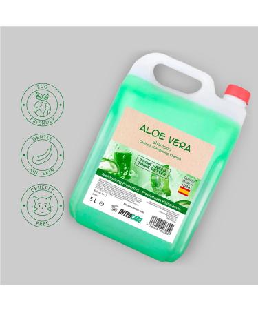 Intercabo - High Quality Aloe Vera Shampoo - 5 Liter Can of Aloe Vera Shampoo - Aloe Vera Shampoo - Natural Shampoo - Shampoo for Accommodation - 5l Shampoo - Buy Online on GoSupps.com