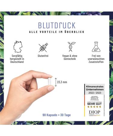 Nature Treu High-Dose OPC Grape Seed Extract 900mg - Vegan Blood Pressure Support with Q10 Potassium & Black Garlic - 90 Capsules - Buy Online on GoSupps.com