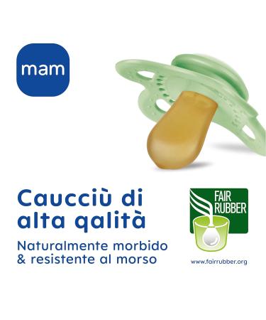 MAM Original Pacifier Set of 2 - Rubber Neutral 2-6 Months with Box | International Shipping Available - Buy Online on GoSupps.com