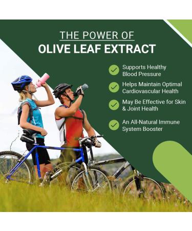 East Park Olive Leaf Extract 500mg Super Strength d-Lenolate | Immune System Booster with 18% Oleuropein | 180 Vegetarian Capsules (Non-GMO) - Buy Online on GoSupps.com