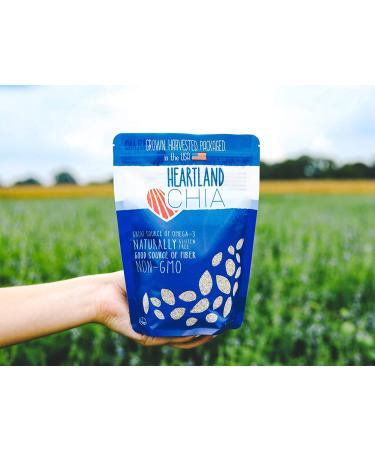 Heartland Chia  USA Grown Whole Raw Black Chia Seeds  12 oz | Sustainable  Non-GMO  Farm-direct - Buy Online on GoSupps.com