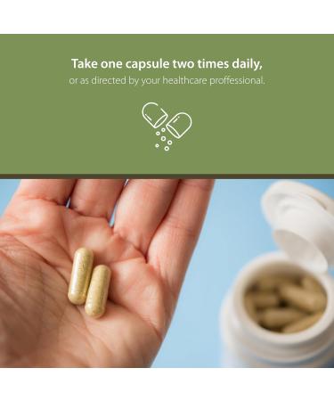 Tattva's Herbs Boswellia Serrata Supplement | Joint Support Capsules | CO2 Extract for Optimal Health - Buy Online on GoSupps.com