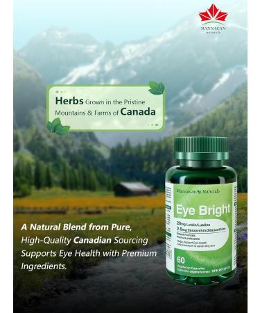 Lutein 20mg and Zeaxanthin Supplements 60 Capsules Lutein for Eyes Eye Supplement Bilberry Supplement for Eyes Areds 2 Lutein Zeaxanthin Vitamin for Eyes Health for Adults 60 Count (Pack of 1) - Buy Online on GoSupps.com