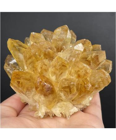Natural Ghost Phantom Quartz Crystal Cluster Rock Stones Reiki Specimen Home Deco Crystal Cluster (Color : No.4) - Buy Online on GoSupps.com