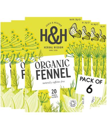 Heath & Heather Heath and Heather Tea Infusions Organic Fennel Teabags (Pack of 6 Total 120)