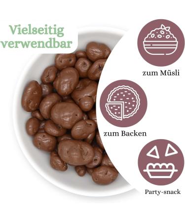  1001 Frucht 1001 Fruit Cranberries in Whole Milk with Noble Chocolate 250g | Chocolate Fruits | Whole Cranberry Berries Coated in Chocolate | Chocolate Fruits - Buy Online on GoSupps.com