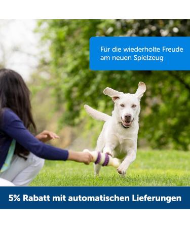 PetSafe Busy Buddy Rawhide Chew Rings for Dogs - 16 Pieces (120g) - Ideal for Snack Ring Toys - International Shipping Available - Buy Online on GoSupps.com