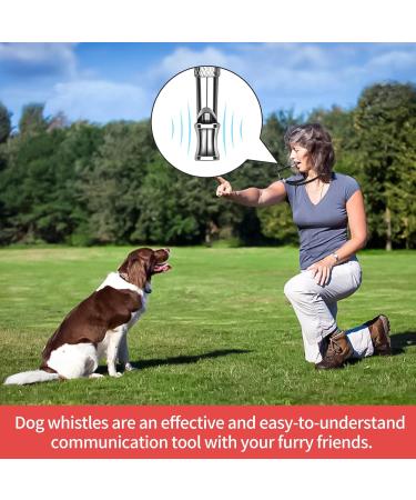 Byyt Ultrasound Dog Whistle - High Frequency Training Tool with Lanyard | Effective Bark Control & Dog Education - Buy Online on GoSupps.com