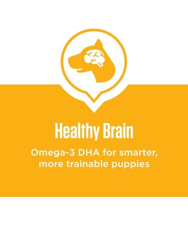 IAMS Proactive Health Adult Dry Dog Food + IAMS Puppy Dry Dog Food Chicken and Whole Grains Bundle 13.6 kg Dog Food + Dog Food 6.80kg - Buy Online on GoSupps.com
