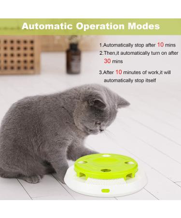 Pettom Interactive Cat Toy | Electric Butterfly Funny Exercise Toy for Kittens | Rotating Pop N Play Toy with Replacement Feathers | Green - Buy Online on GoSupps.com