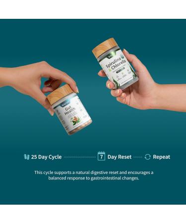 Snap Supplements Gut Health & Organic Spirulina Chlorella Bundle Probiotic + Digestive Enzymes + Greens Supports Digestion Detox Energy & Immune Health 50 + 120 Vegetarian Capsules (1 Month Supply) Gut Health + Spirulina  - Buy Online on GoSupps.com