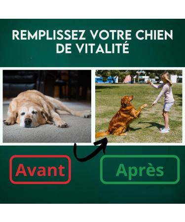 DISANE Marine Collagen Dogs | Natural Food Supplement for Dog Joint Care | Protects and Restores Bones and Joint Tissues | Chondroprotectors for Dogs - Buy Online on GoSupps.com