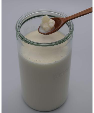 Buy Starter Set Milk Kefir - Active Kefir Grains for Homemade Kefir | International Shipping - Buy Online on GoSupps.com