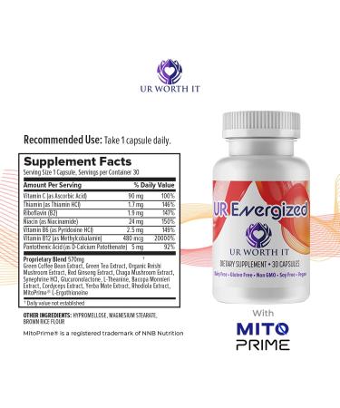 Buy UR Energized Capsules - Natural Energy Supplement with Reishi Chaga & Green Coffee - Boost Focus & Clarity - 30 Caps for Active Lifestyle - Buy Online on GoSupps.com