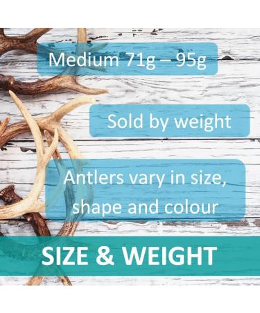 Antlers for Dogs Ideal for Medium Dogs Sustainable Naturally Shed Deer Antlers for Dogs Dog Toys Dog Treats Dog Antler Reindeer Antlers for Dogs Natural Dog Chews Dog Chew Toys M (Pack of 1) - Buy Online on GoSupps.com
