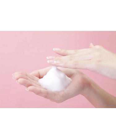 DrFormulas Foaming Face Wash for Oily Skin & Acne | Salicylic Acid Vitamin C & Tea Tree Oil - 5 oz - Buy Online on GoSupps.com