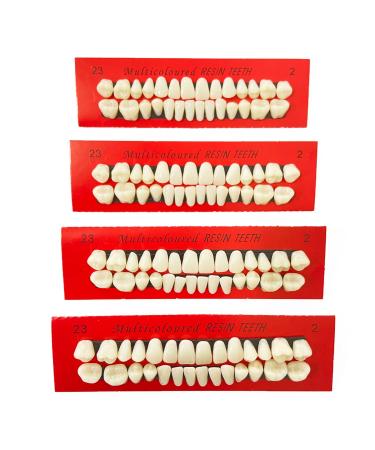 VIKSAUN 4 Pieces Acrylic Resin Fake Teeth Dental Denture False Teeth Halloween Horror Teeth Synthetic Resin Teeth for Halloween Makeup Cosplay Costume Party Ornament Supplies (4 pcs)