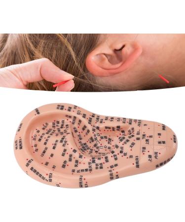 Human Ear Acupuncture Point Model - Clear Lettering Flexible PVC Multi-Purpose for Home Learning and Acupuncture Training - Buy Online on GoSupps.com