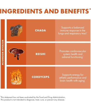 Host Defense Breathe* Extract - Immune & Respiratory Support Mushroom Liquid Supplement - Herbal Lung Health Supplement with Chaga Reishi & Cordyceps - 2 fl oz (60 Servings)* 2.0 Ounce (Pack of 1) - Buy Online on GoSupps.com