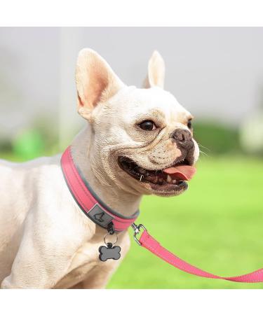 Joytale Softly Padded Neoprene Dog Collar for Small Dogs - Reflective Nylon Pink - 1 Pack - Buy Online on GoSupps.com
