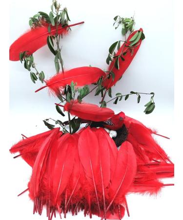 100pcs Red Goose Feathers 6-8 Inch - Ideal for Crafts, Wedding Decor, Clothing Accessories - Buy Online on GoSupps.com