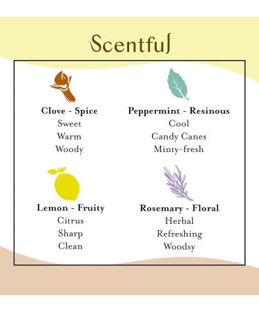 SCENTFUL Smell Training Kit: Loss of Smell Therapy with Organic Essential Oils - Buy Online on GoSupps.com