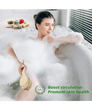 Bamboo Handled Shower Brushes for Exfoliating and Body Massage - Soft and Hard Natural Boar Bristles - Ideal for Back and Whole Body Scrubbing - Buy Online on GoSupps.com
