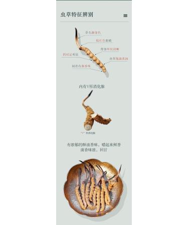 Akersunder Genuine Dried Cordyceps sinensis/winterworm summerherb Ophiocordyceps sinensis naqu cordyceps 1g. (Broken Grass with Tail) - Buy Online on GoSupps.com