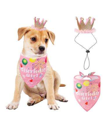 Dog birthday bandana hat set dog birthday party supplies dog bandana young girl puppy birthday hat scarf for small medium dog pet (rose)